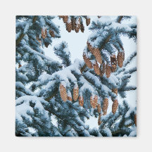 Snow in the Pines Magnet