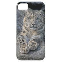 Snow Leopard Beauty (both paws in front) iPhone 5 Cases