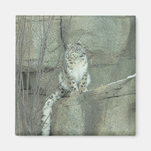 snow leopard refrigerator magnets