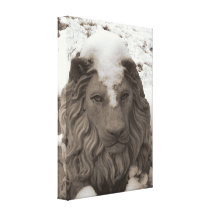 Snow Loin Stretched Canvas Print