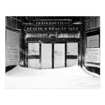 Snow on Chestnut Post Card
