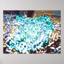 Snow on Twigs Posters