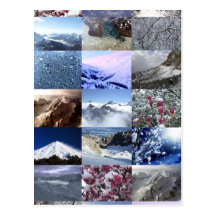 Snow Photo Collage Postcards
