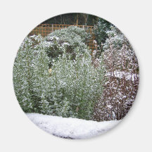 Snow Scene Magnet
