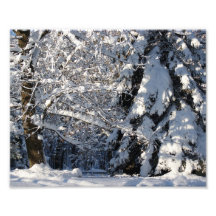 Snow Serenity 10x8 Photograph
