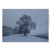Snow Tree Greeting Cards