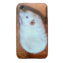 Snowball White Rat iPhone 3 Case