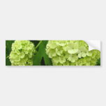 Snowballs Bumper Sticker