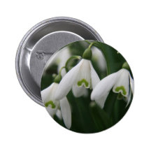 Snowdrops Pins