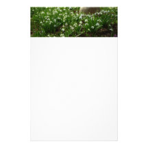 Snowdrops Stationery