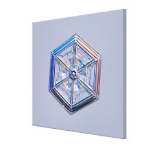 Snowflake 8 gallery wrap canvas