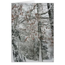 snowing in the country greeting cards