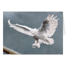 Snowings Card
