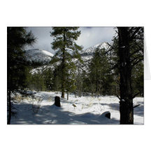 Snows In Flagstaff At Arizona And On Mt. Elden Card