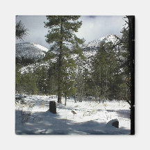 Snows In Flagstaff At Arizona And On Mt. Elden Magnet