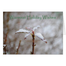 Snowy and Cold Greeting Cards