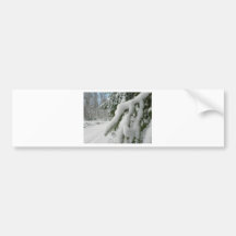 Snowy Branch Bumper Stickers