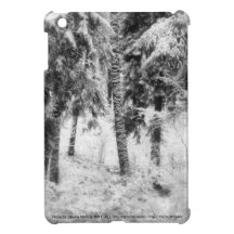 snowy Oregon forest iPad Mini Covers