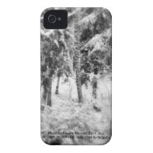 snowy Oregon forest iPhone 4 Case-Mate Case