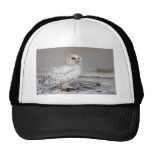 Snowy Owl Mesh Hat