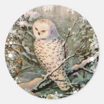 SNOWY OWL & SNOWFLAKES by SHARON SHARPE Stickers