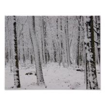 Snowy Solitude 11x8 Photographic Print
