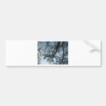 Snowy Tree Branch Bumper Sticker