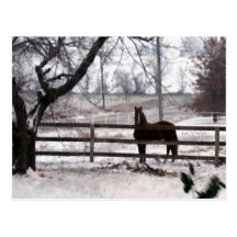 Snowy Winter Horse Post Cards