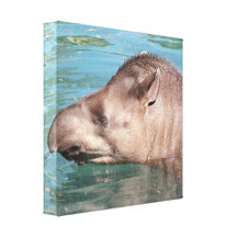 Soaking Tapir Canvas Print