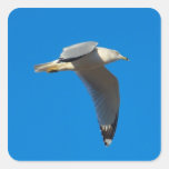 Soaring Flight Sticker