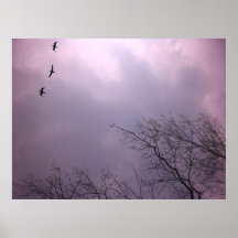 Soaring High  is our nature - Toronto Island Sky Poster