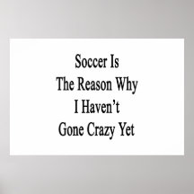 Soccer Is The Reason Why I Haven't Gone Crazy Yet Poster