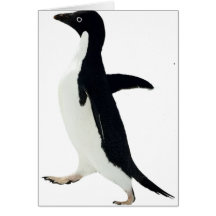 Socially Awkward Penguin Greeting Cards