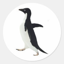 Socially Awkward Penguin Round Sticker