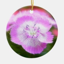 Soft Focus Sweet Williams Ornaments