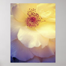 Soft Pastel Petals Poster