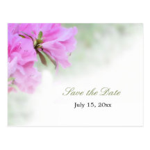 Soft Pink Azaleas - Save the Date Postcard