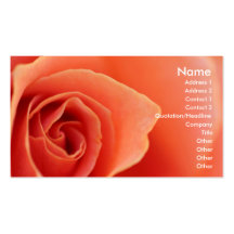 Soft Rose Petals Business Card Template
