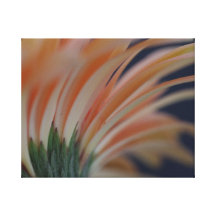 Softly Pastel Gallery Wrapped Canvas