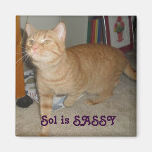 Sol is sassy, Sol is SASSY Magnets