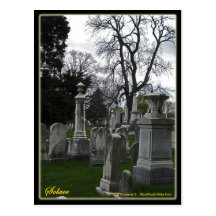 solace postcard