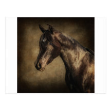 Solemn Post Card