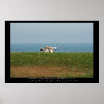 Solitary Prayer - Scripture Print