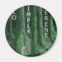 SOLO 12 FRIDGE MAGNET