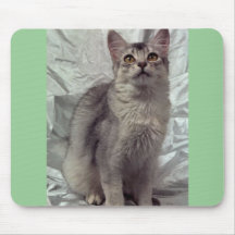 Somali, silver mousepads