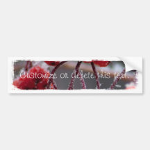 SONB Snow on Berries; Customisable Bumper Sticker