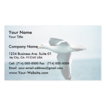 Sooty-backed or Western Gull Business Cards