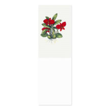 Sophronitis coccinea business card