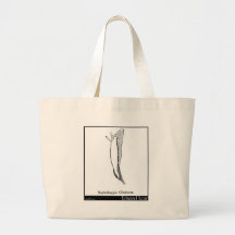 Sophtsluggia Glutinosa. Bags