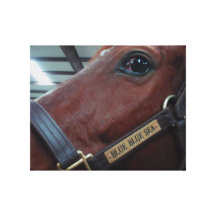 Soul of a Horse Stretched Canvas Prints